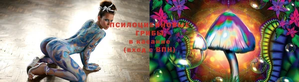 мет Алзамай