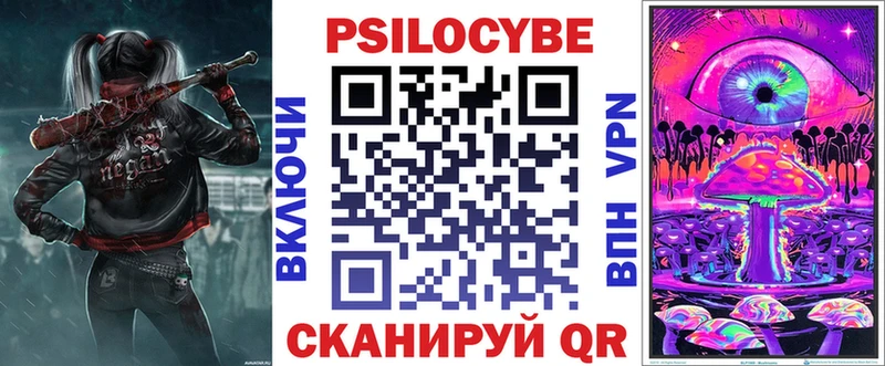 как найти   Тосно  Галлюциногенные грибы GOLDEN TEACHER 