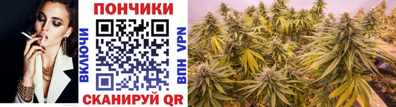 купить наркотик гидра зеркало Марихуана Amnesia Тосно